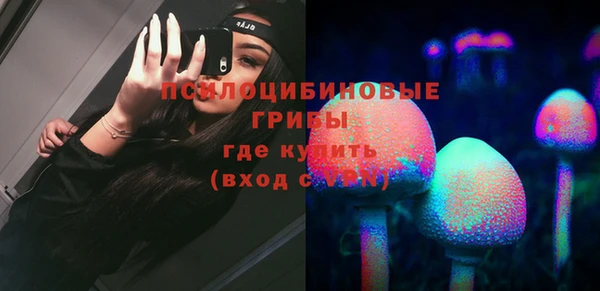 спиды Каменск-Шахтинский