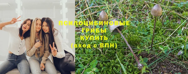спиды Каменск-Шахтинский