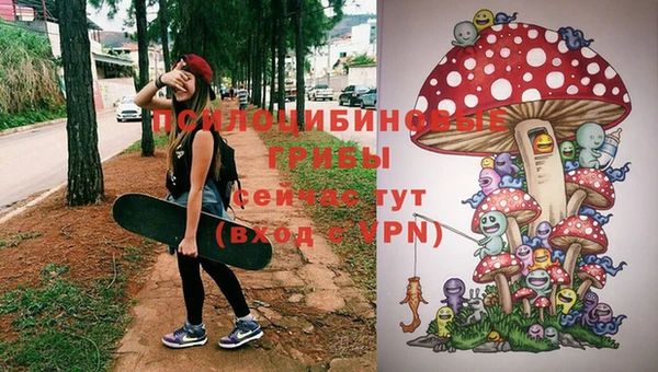 спиды Каменск-Шахтинский
