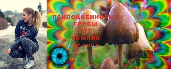 спиды Каменск-Шахтинский