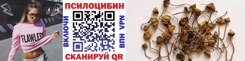 купить наркотики сайты  blacksprut   Галлюциногенные грибы Psilocybine cubensis  Тольятти 